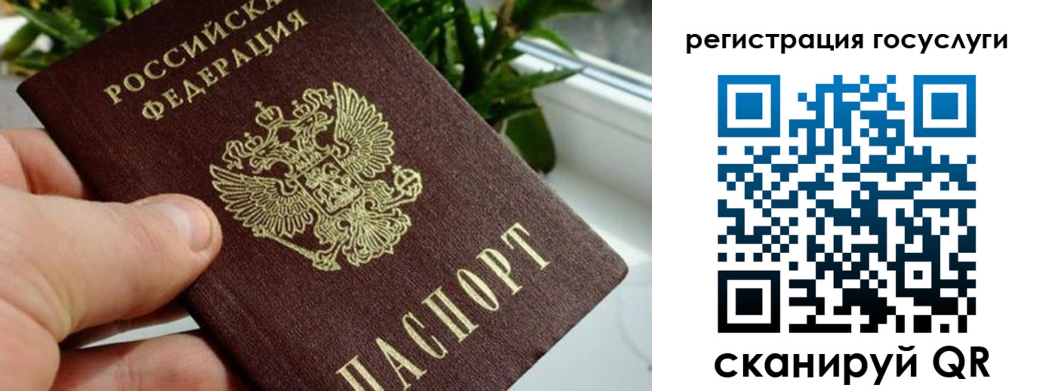 прописка для кредита в Петрозаводске